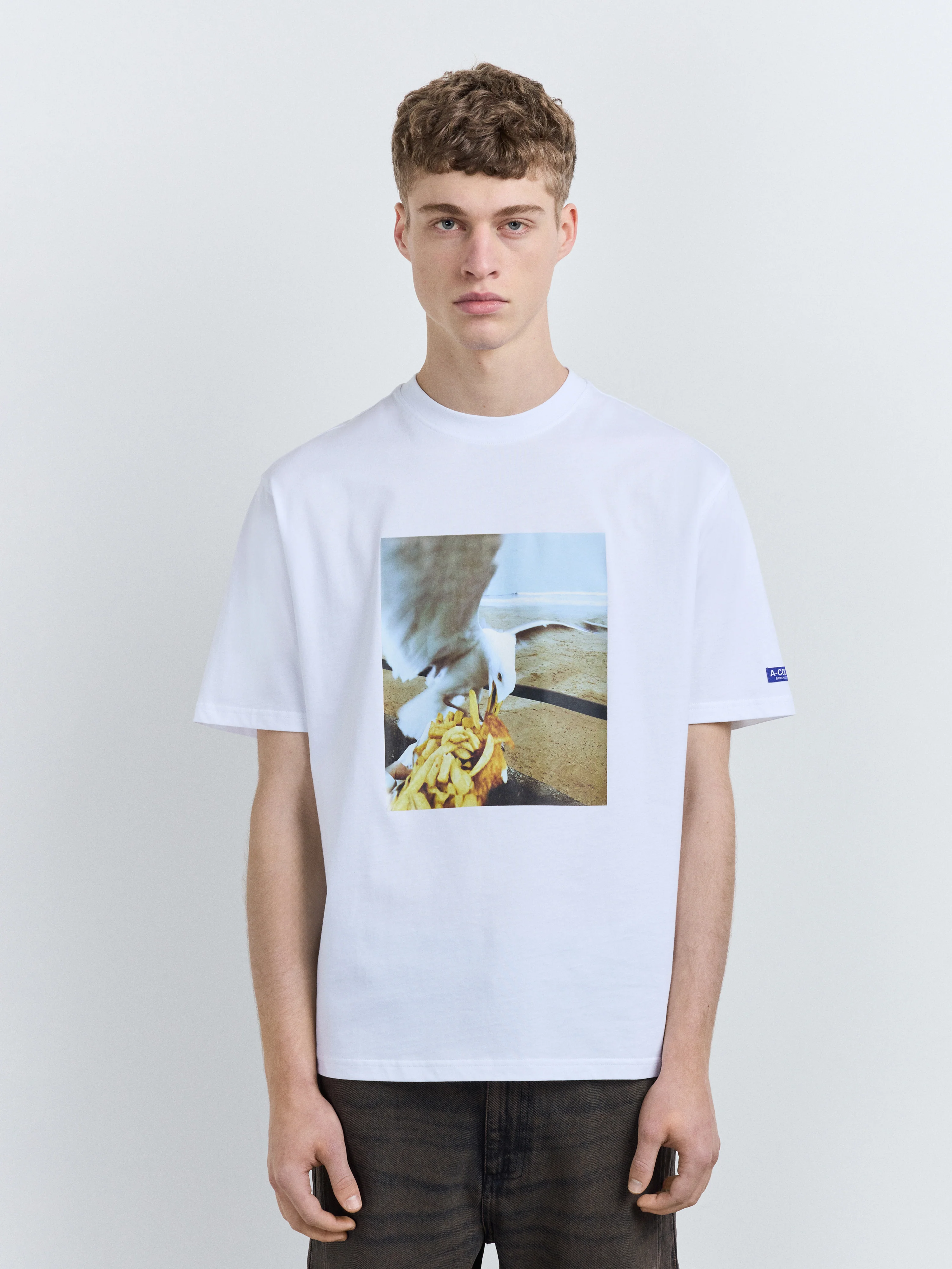 Pesky Seagull T-Shirt Optic - Image 4