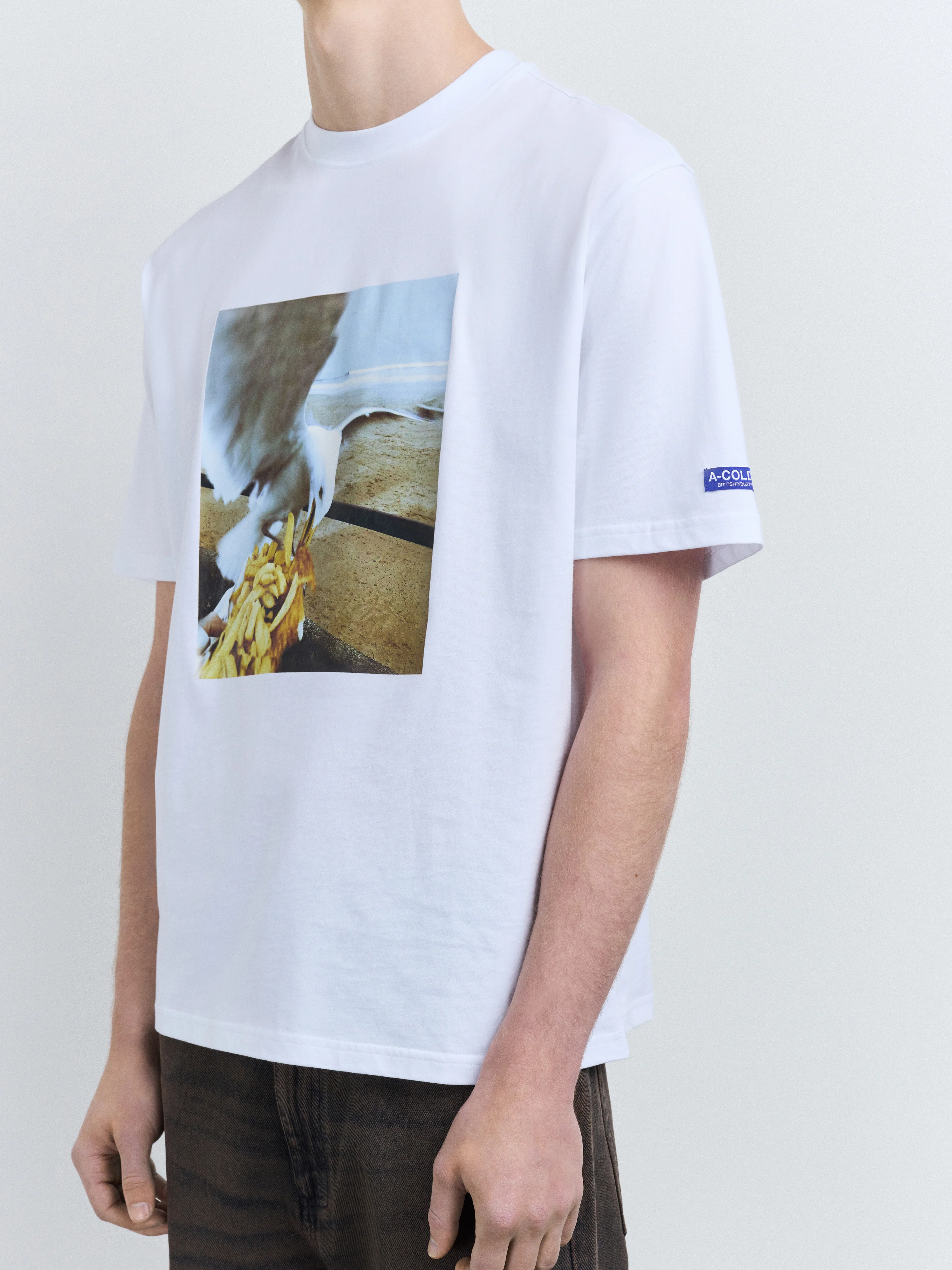 Pesky Seagull T-Shirt Optic - Image 6