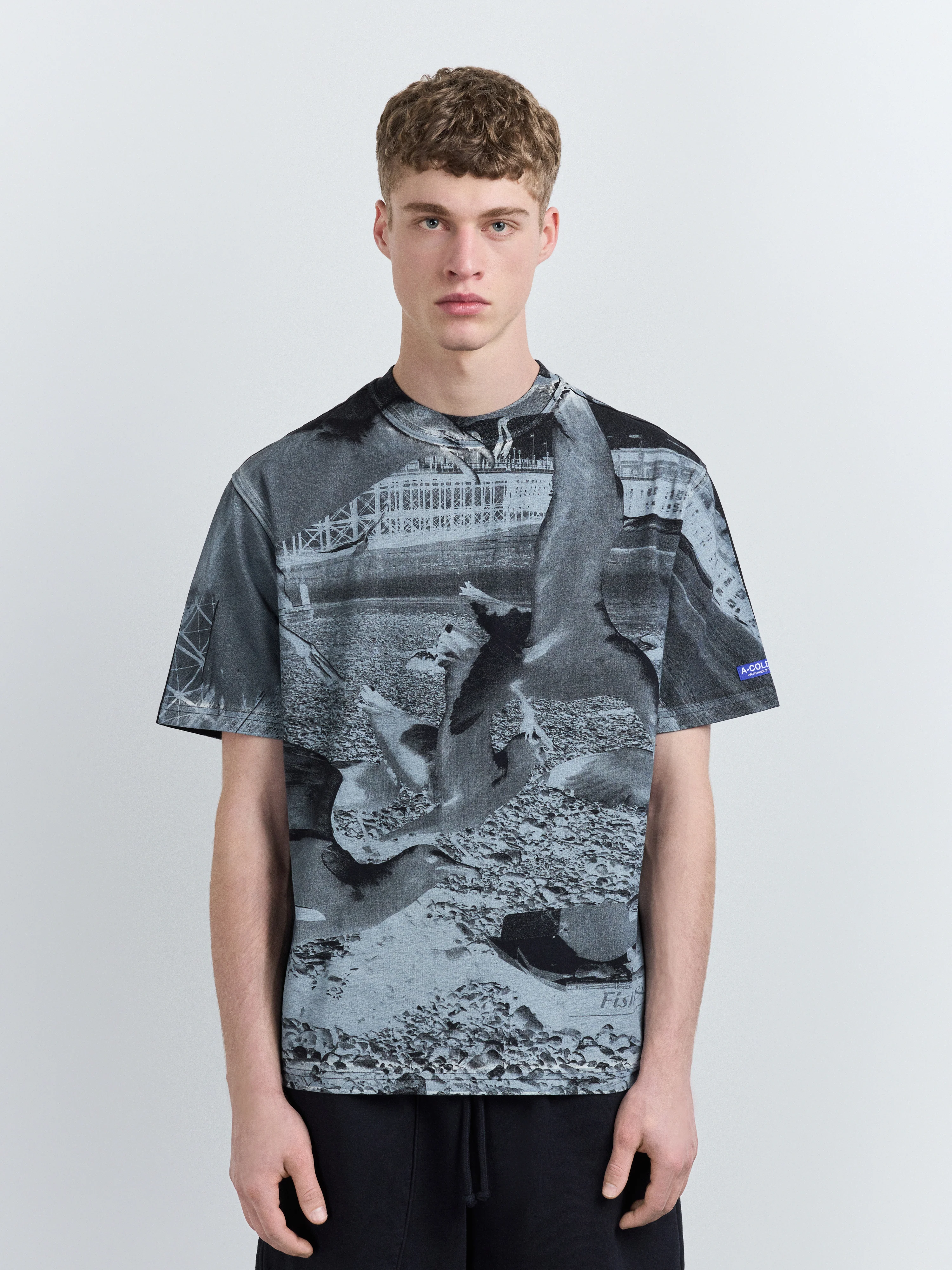 Seagull Beach T-Shirt Onyx - Image 4